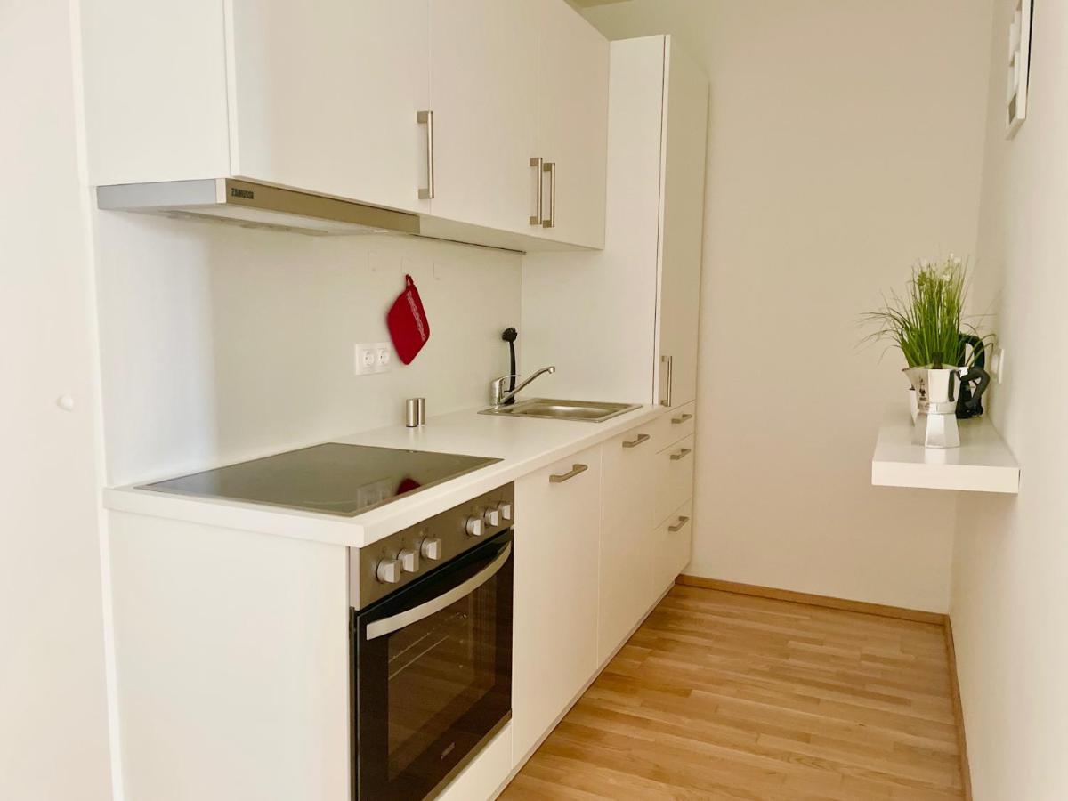 Central 55M2 Flat With Balcony & Parking Viena Exterior foto
