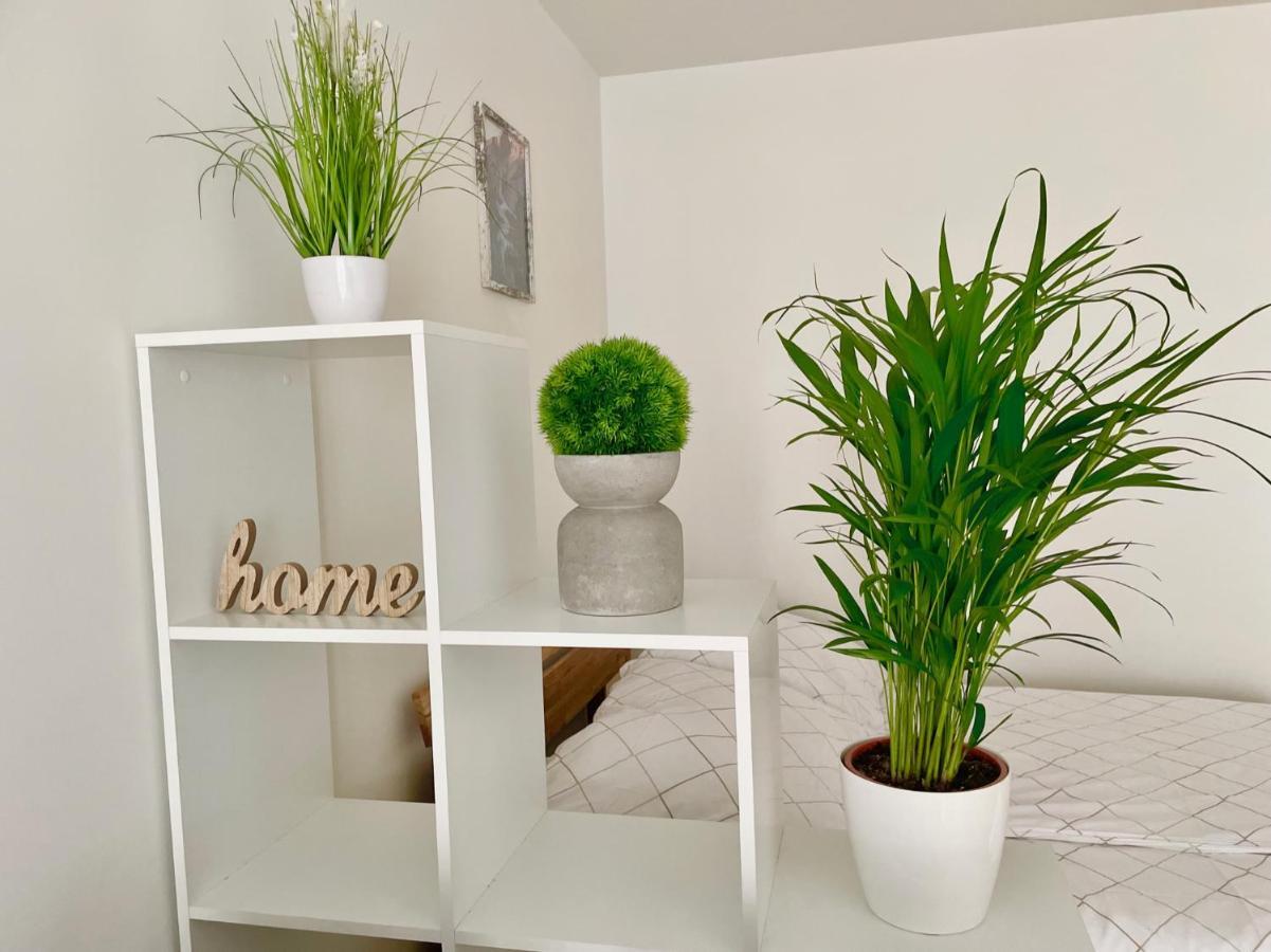 Central 55M2 Flat With Balcony & Parking Viena Exterior foto